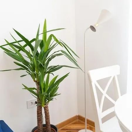 Completely New, Bonbona Apartment